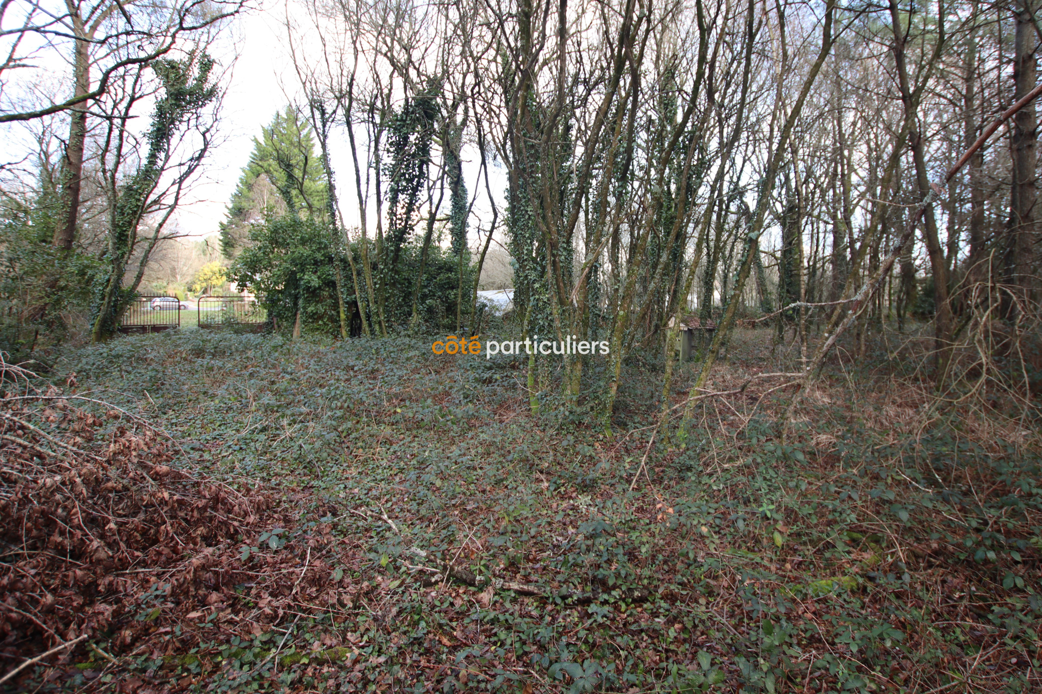 Vente Landaul Terrain Bois Non Constructible 14170 M vente-landaul-terrain-bois-non-constructible-14170-m